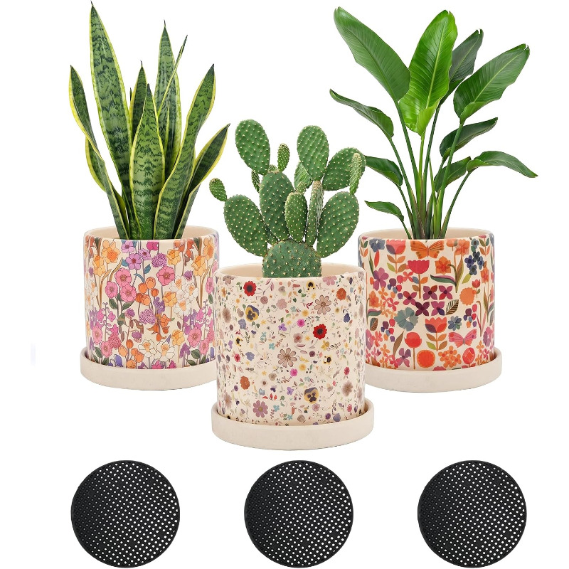 Snake Plant Ceramic - 3 vasi in ceramica con decorazioni