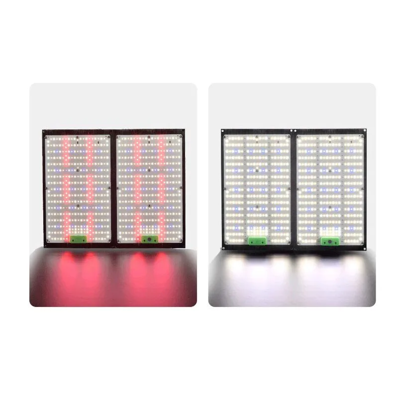 Indoor Plants - Lampada LED Quantum-Board per la Crescita