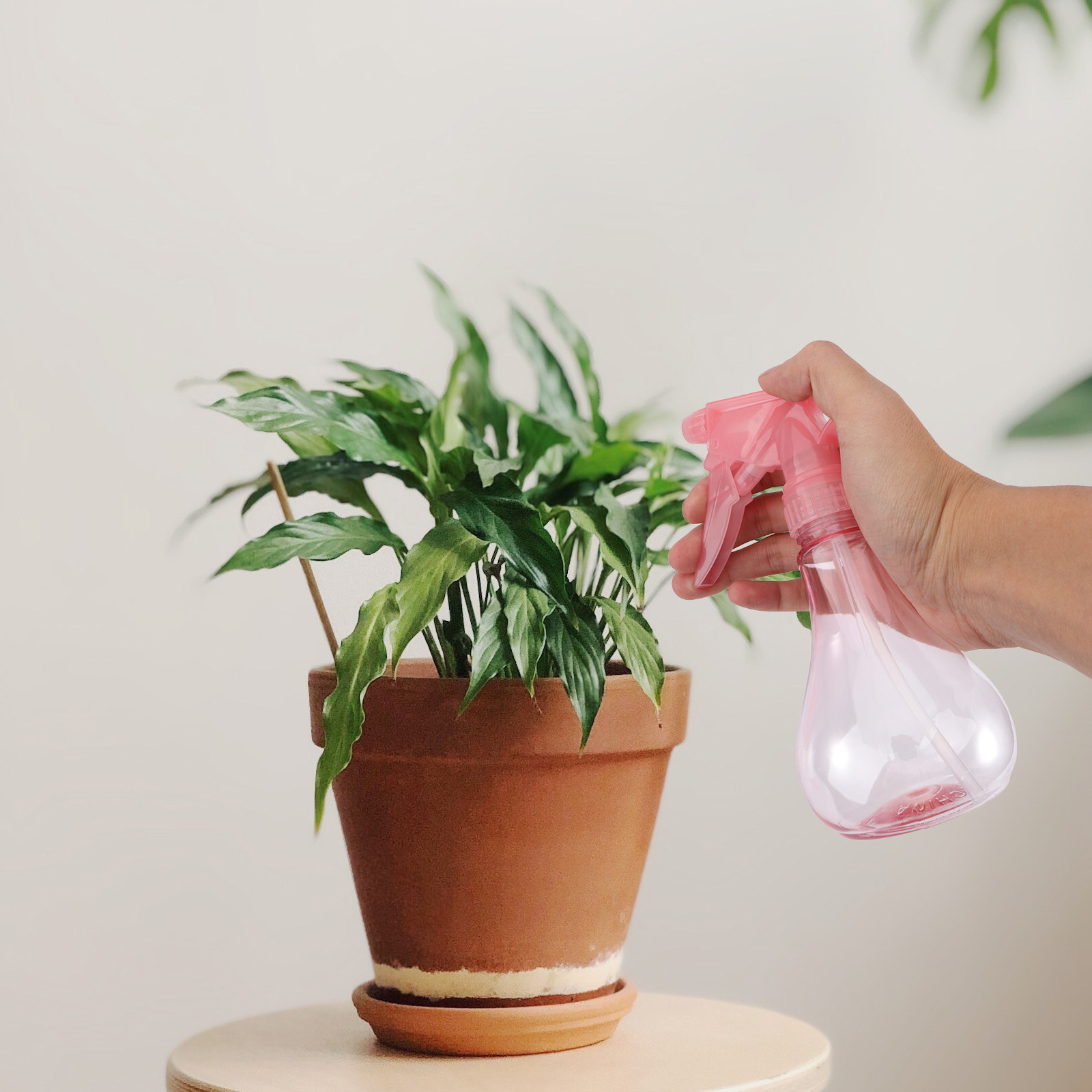 1 Set di Mini Attrezzi per la  - Succulent Set recensione e prezzo