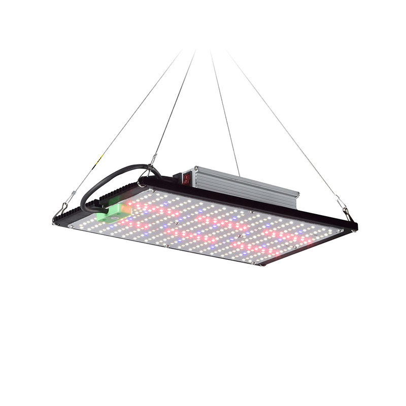 Lampada LED Quantum-Board per  - Indoor Plants recensione e prezzo