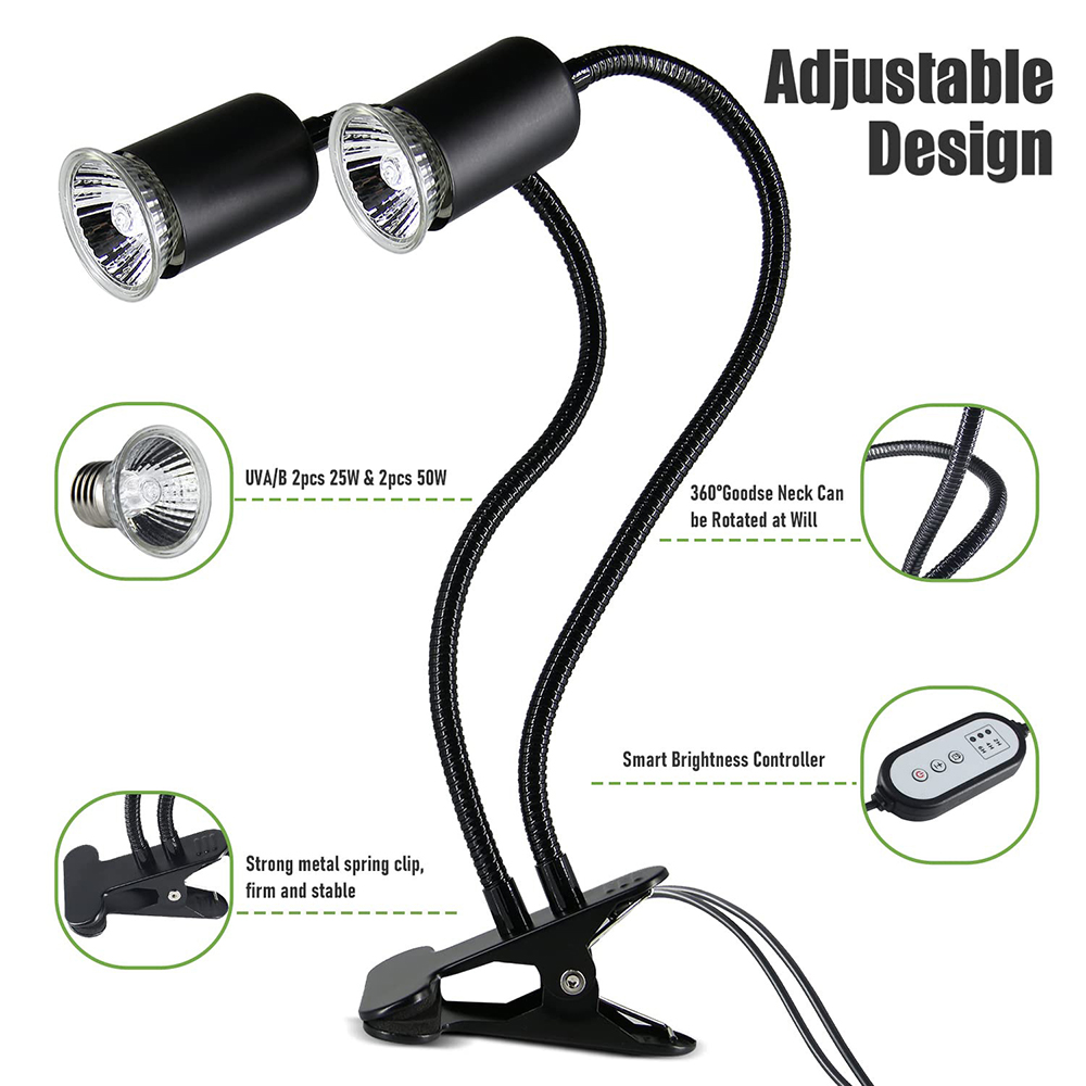 Lampada termica per rettili st - Snake Plant recensione e prezzo