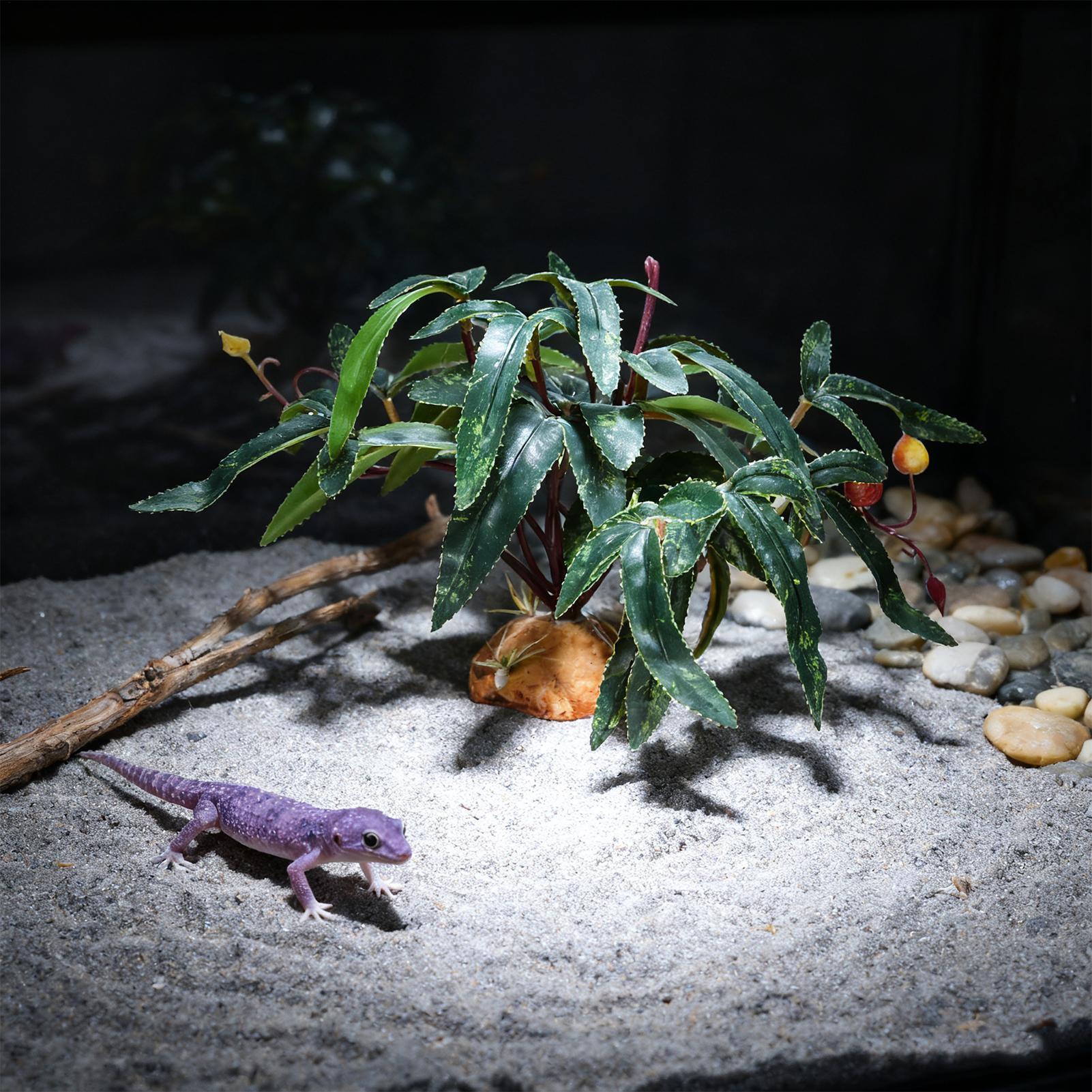 Piante Finte per Rettili, Orna - Snake Plant recensione e prezzo