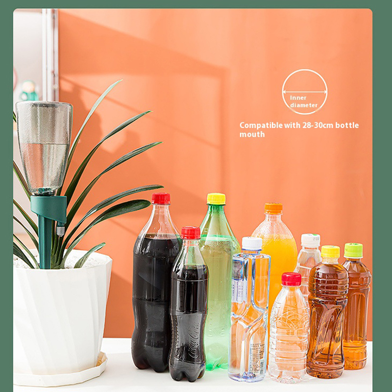 Nuovo dispositivo automatico p - Succulent Set recensione e prezzo
