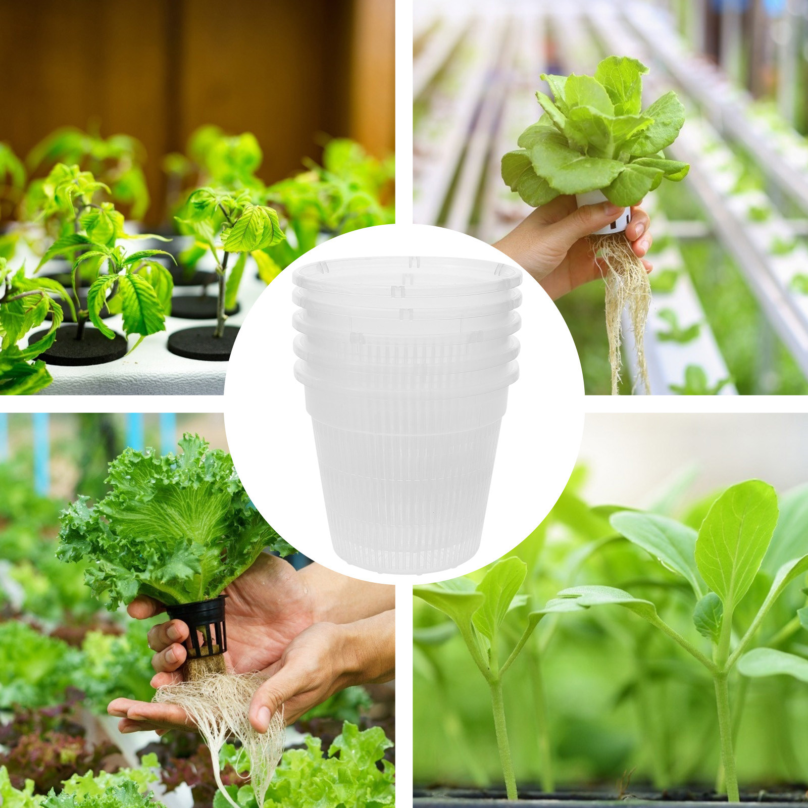 5 vasi a rete per coltivazione - Plant Pot recensione e prezzo