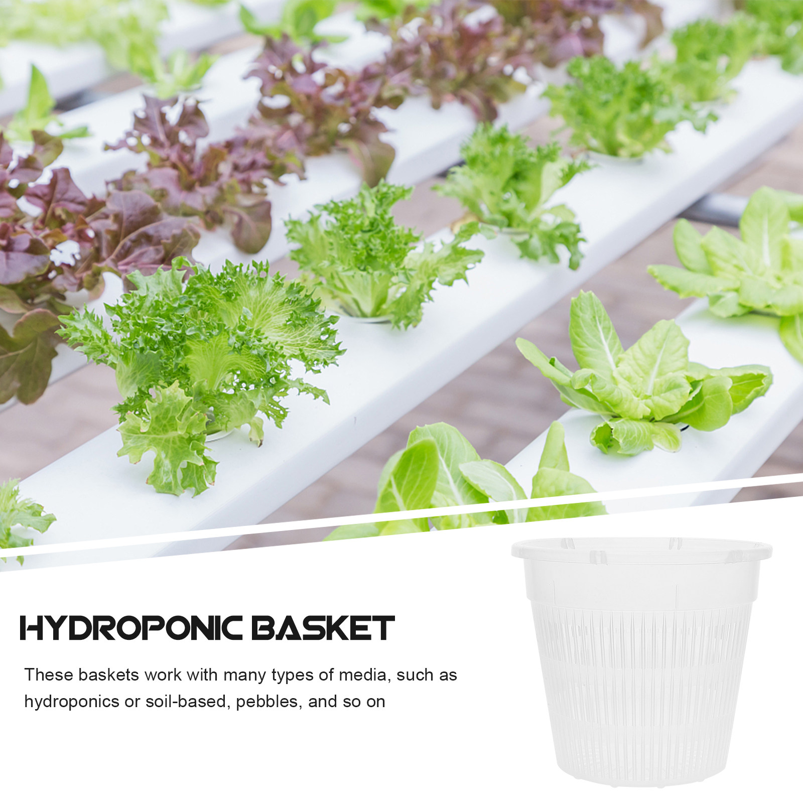 5 vasi a rete per coltivazione - Plant Pot recensione e prezzo