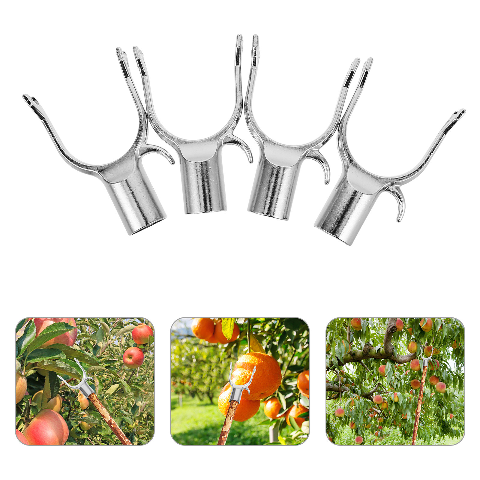 Clip di supporto per piante da - Plant Support Stake recensione e prezzo