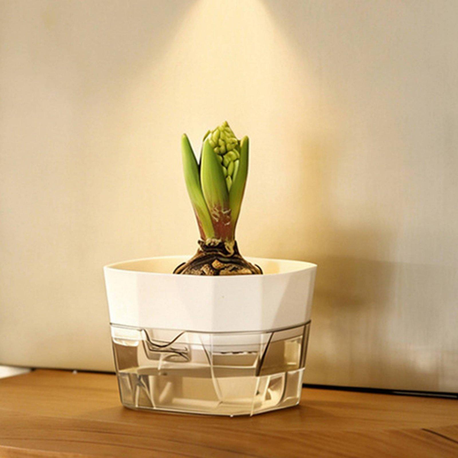 Vaso Idroponico a Due Strati c - Plant Pot recensione e prezzo
