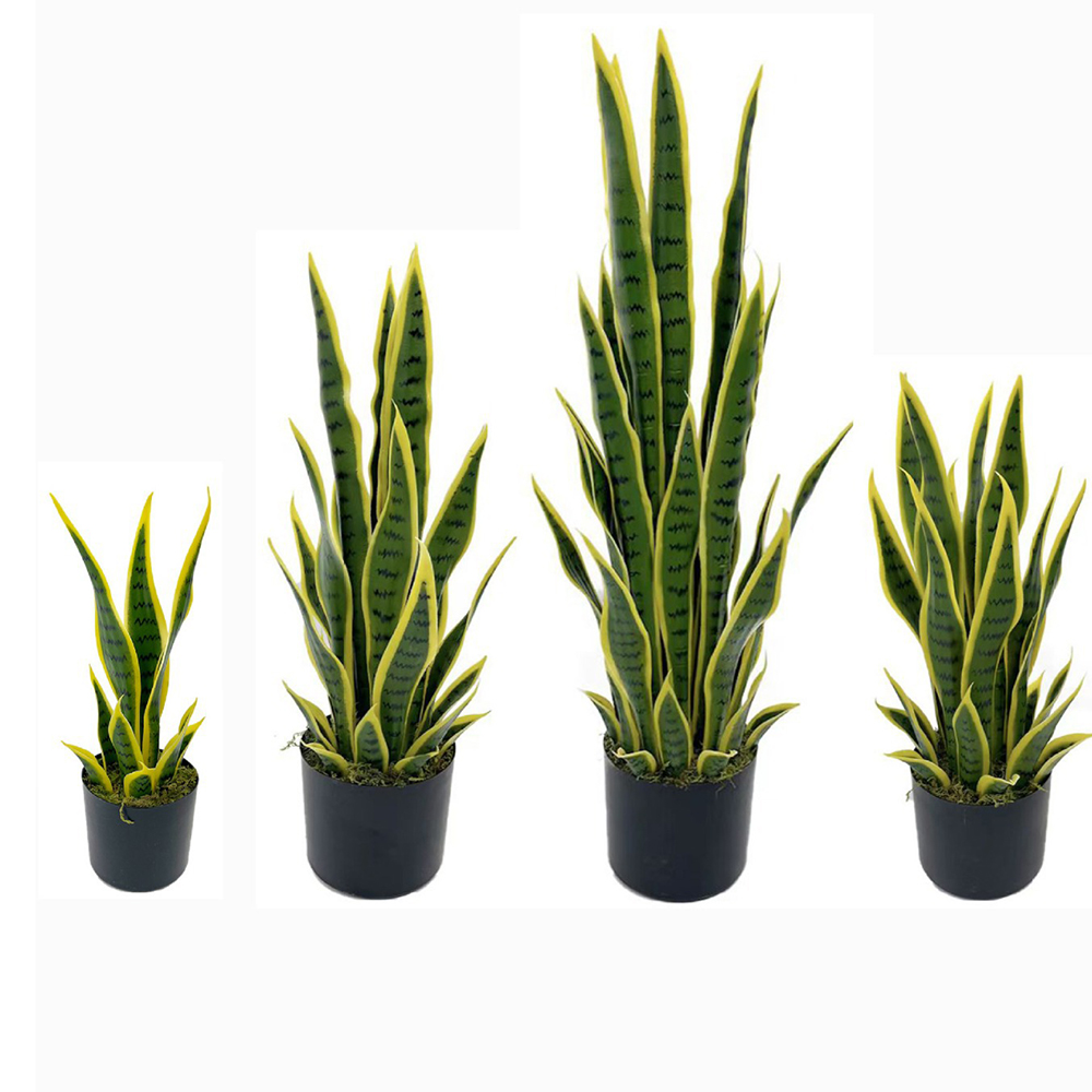 Pianta Artificiale Sansevieria - Snake Plant recensione e prezzo
