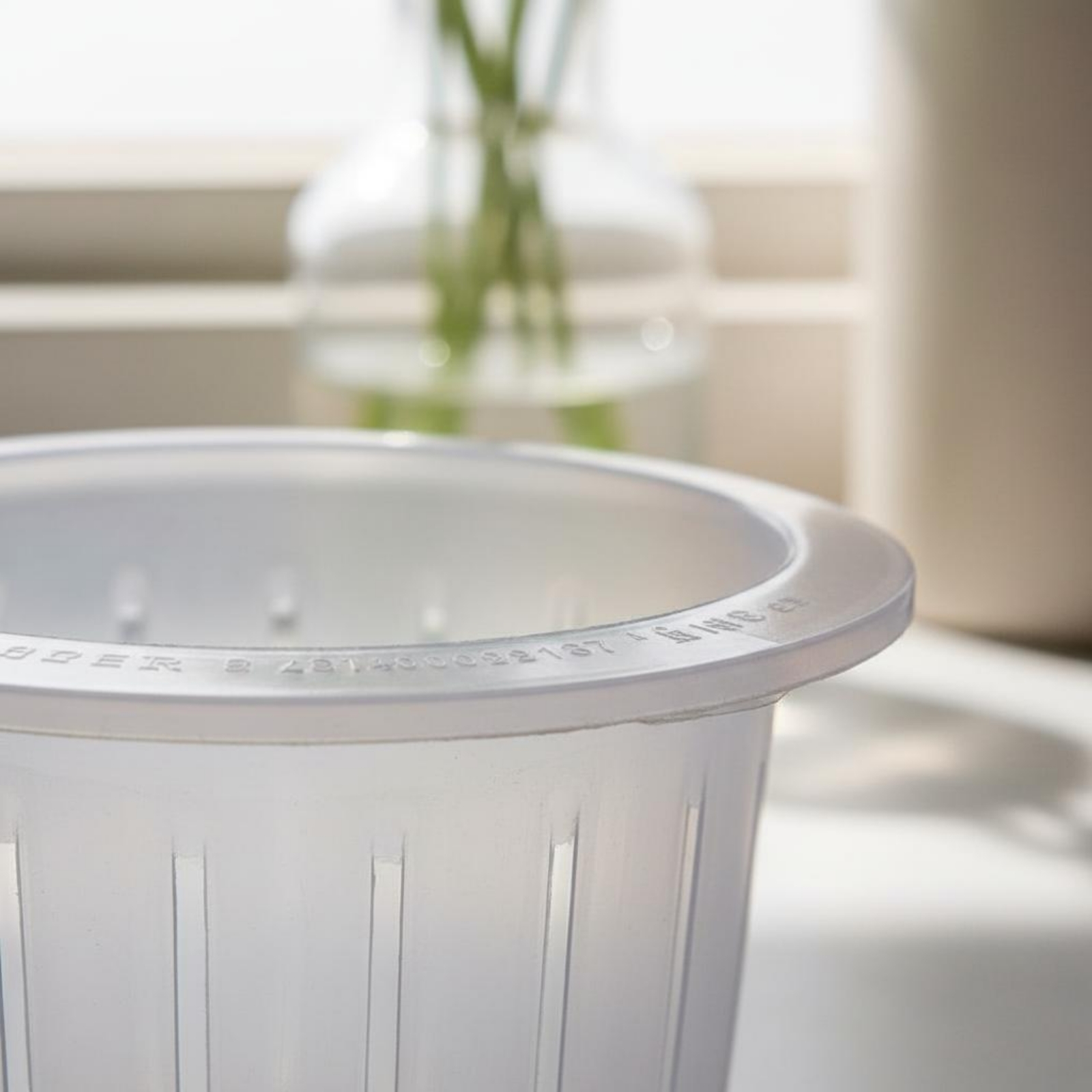 Cestello per Coltivazione Idro - Plant Pot recensione e prezzo