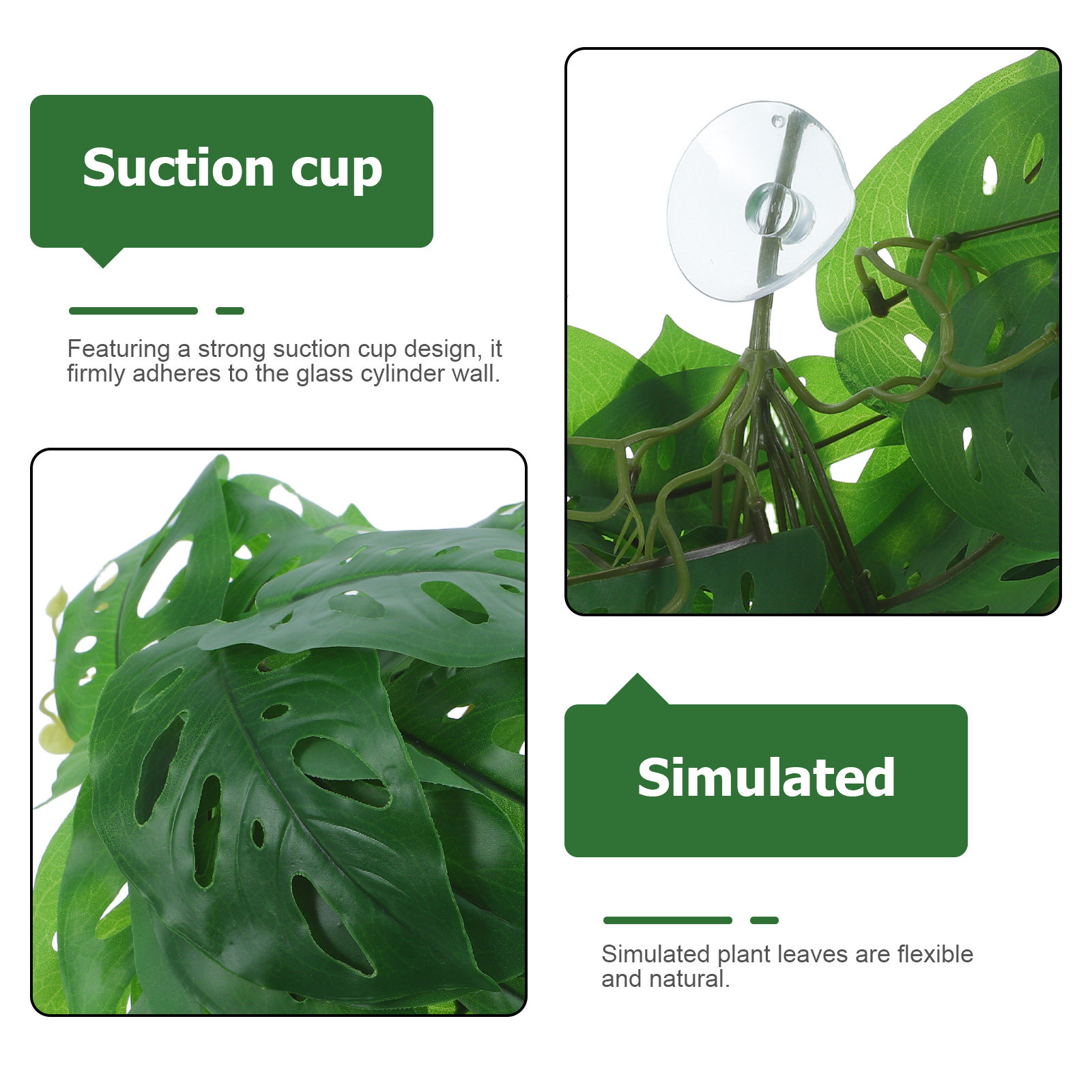 Decorazioni per habitat di ret - Snake Plant recensione e prezzo