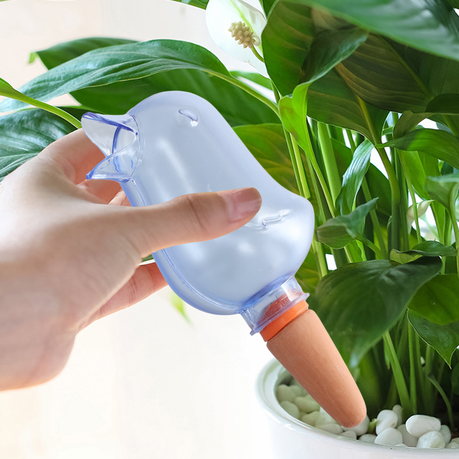 Sistema automatico di irrigazi - Pothos recensione e prezzo