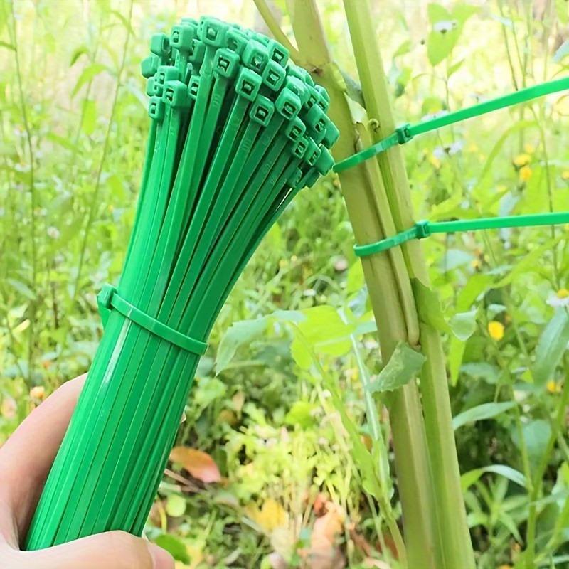 100 fascette per giardinaggio, - Plant Pot recensione e prezzo