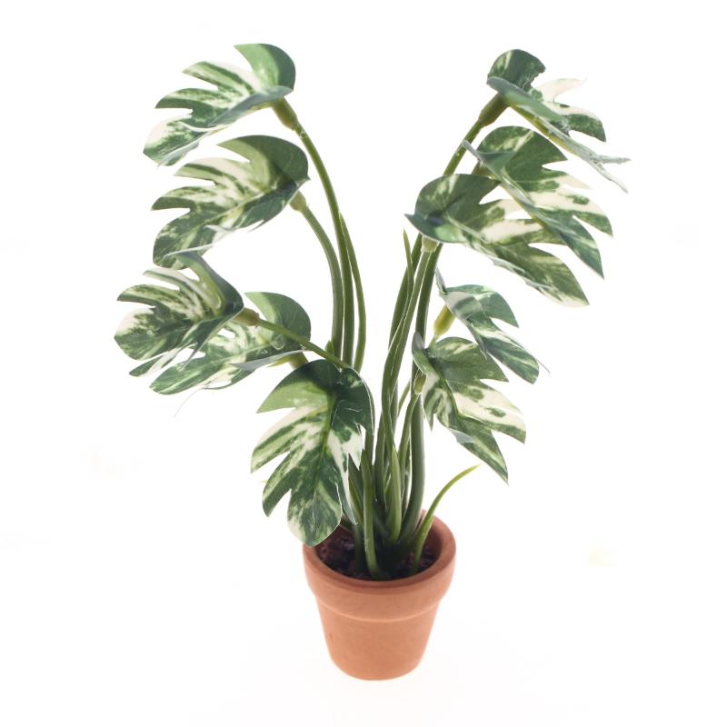 Nuovo. 1 Pezzo Pianta Verde Mo - Plant Pot recensione e prezzo