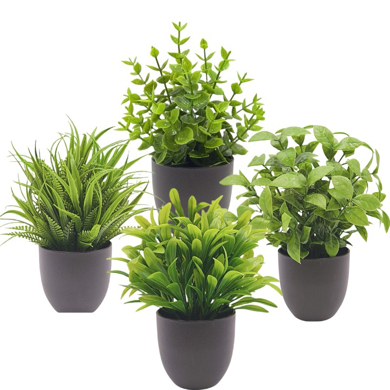 Bonsai Artificiale Verde per D - Succulent Set recensione e prezzo