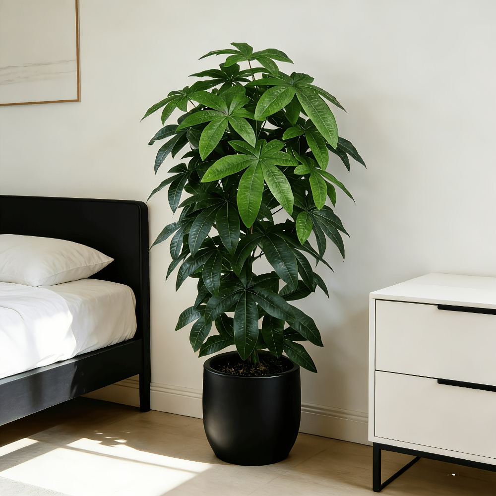 Albero della Fortuna Artificia - Snake Plant recensione e prezzo